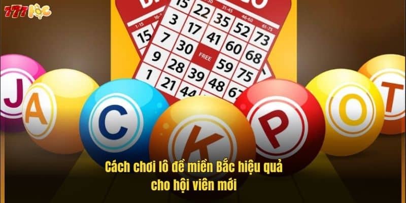 hoc-hoi-kinh-nghiem-soi-cau-lo-de-mien-bac-de-nang-cao-co-hoi-chien-thang