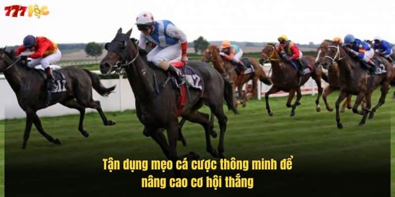 Mẹo Thắng Đua Ngựa Giúp Bạn Tăng Cơ Hội Nhận Thưởng Lớn 4 tan-dung-meo-ca-cuoc-thong-minh-de-nang-cao-co-hoi-thang (1)